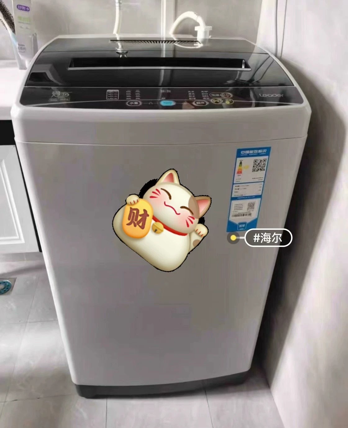 个人闲置便宜二手洗衣机名牌海尔全自动波轮洗衣机 二手8 9新！[超便宜][超便宜][旺柴][旺柴][送花][送花] 个人原因公寓房子卖出去了 不租了多出来了几台